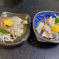 味処 高崎 - 白ガスエビ刺身とバイ貝刺身