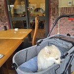 ステーキハウス寿楽 - 