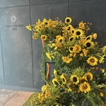 Restaurant Bellustar - 