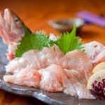 Shunsai Shuraku Megumiya - 岡山清流直送岩魚のお造り