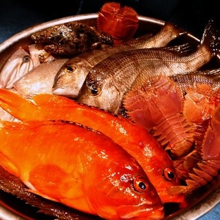 長崎天然鮮魚