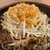 よもだそば - 料理写真: