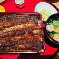 炭焼 うな富士 有楽町店 - 