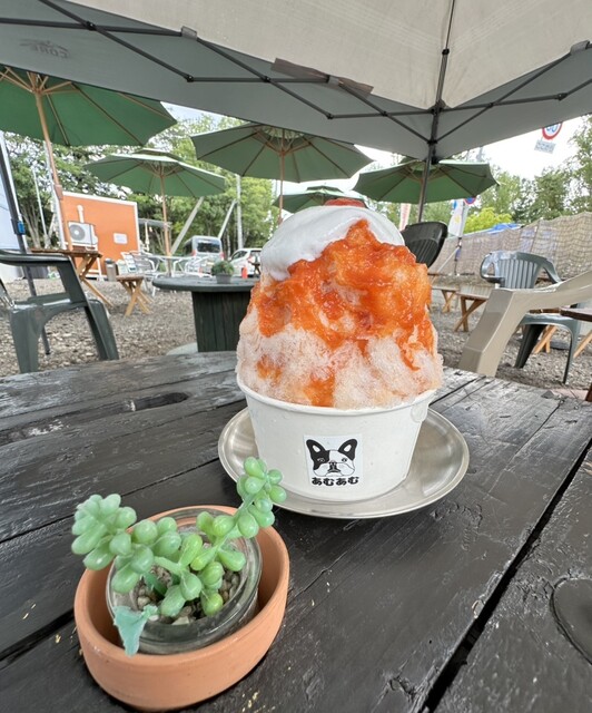 ◆オーダー用◆ダイカット 海水浴 潮干狩り かき氷 夏 the Sea | ハワイアンフルーツカフェ