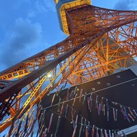 ワカヌイ グリル ダイニング バー 東京 - 