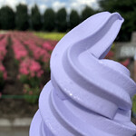 ファーム富田 - 