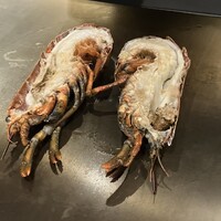 名駅 鉄板焼き 森本Ｘ Premium - 