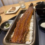 鰻魚四代目菊川 中洲春吉店 - 