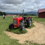 マンドリアーノ - 