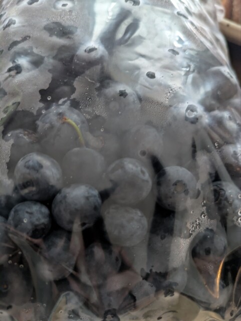 芳乃ガーデン - 泉郷（その他）の写真