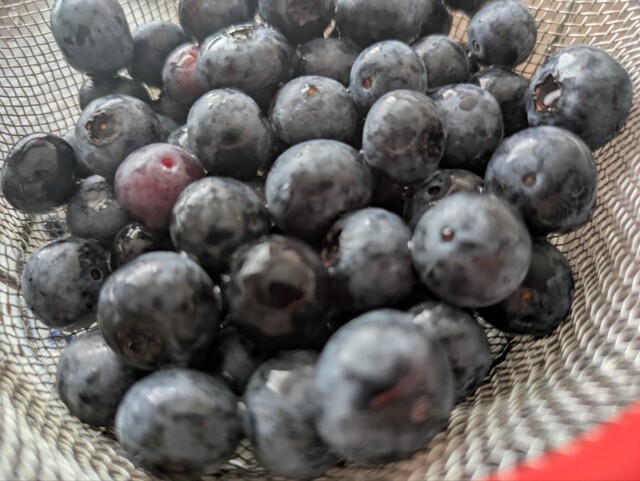芳乃ガーデン &ndash; 泉郷 | 福島県須賀川市の直売所カフェで季節の野菜とブルーベリー体験