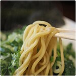 Yamaarashi Hon Ten - Plump and Chewy Noodles