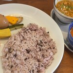 初台スパイス食堂 和魂印才たんどーる - 202507