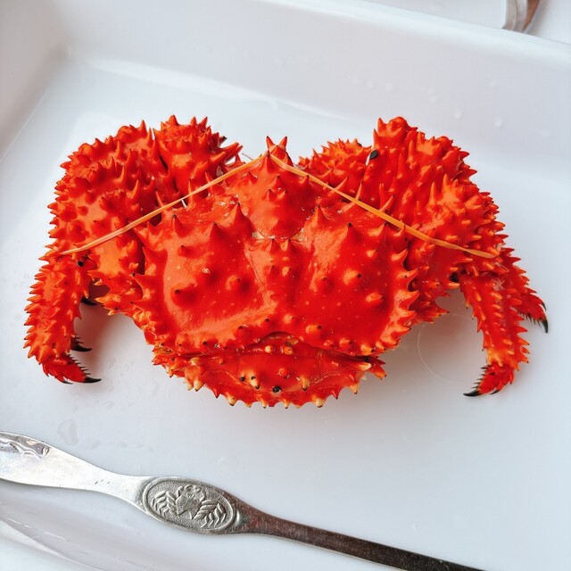 はなさきに、、、にんじん！、、、オヤジ、、、謀ったなぁ～～～ : カサイ商店