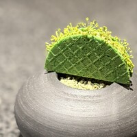 アニエルドール - 