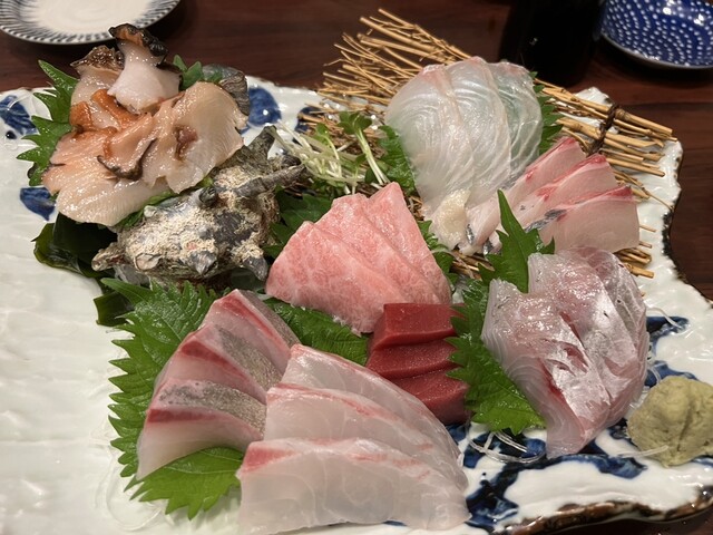 Ichiba Shokudo Sakanaya photo 5