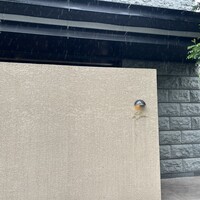 ロテュス - 
