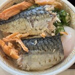すき家 石巻元倉店  - 焼鮭塩鯖のっけ丼