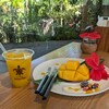 Blue Turtle Farm Mango Cafe
