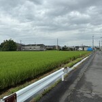 カフェ すろうらいふ - 