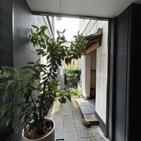 広島 鉄砲町 稲茶 - 