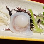 かねと - 可愛らしい水蛸