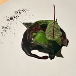 シブ ニシナカス - 