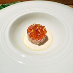 シブ ニシナカス - 