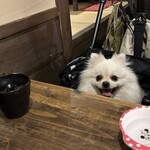 犬茶屋本舗 - 