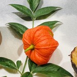 かねと - 鮮やかなホオズキ