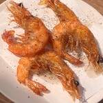 BEER STAND molto!! - 