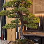 くろぎ甘味研究所 - 