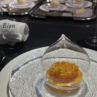 Élan - 