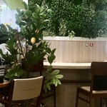 ドトールコーヒーショップ - 