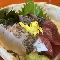 魚竹 - 