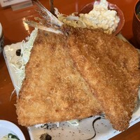 魚竹 - 