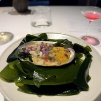 レフェルヴェソンス - 