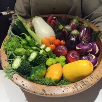 レフェルヴェソンス - 