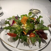 レフェルヴェソンス - 