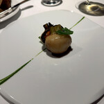 レフェルヴェソンス - 