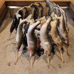 柳家 - かなり大振りのあゆ、こんな大きいのは初めて見る