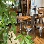 Petites Ailes - パキラかな？