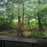 那須高原料理 石心 - 時が止まった様な空間