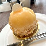 レタンプリュス - 