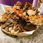 NH - 23種のキノコ