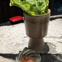 Matsusaka beef YAKINIKU THE SEJONG GEMS名駅店 - 