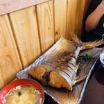 おさかな倶楽部 - 