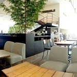 ルーファス - シンボルツリーが開放的な店内は、ソファ席、テーブル席、カウンター席がございます。