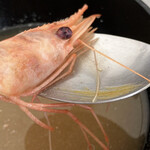 横浜魚市場卸協同組合 厚生食堂 - 