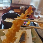 うどん 蔵十 - 
